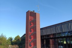 44