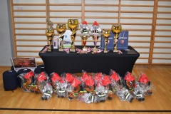 halowe_woj2024_042