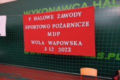 WWapowska2022_001